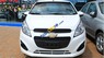 Chevrolet Spark  Duo MT 2017 - Bán ô tô Chevrolet Spark Duo MT sản xuất 2017, màu trắng