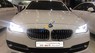 BMW 5 Series 520i 2015 - Bán BMW 5 Series 520i 2.0AT đời 2015, xe nhập khẩu chính hãng Đức, lăn bánh 28000 Km