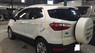 Ford EcoSport Titanium  AT 2015 - Cần bán gấp Ford EcoSport Titanium  AT sản xuất năm 2015, màu trắng số tự động