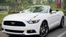 Ford Mustang 2.3L Ecoboost 2016 - Bán ô tô Ford Mustang 2.3L Ecoboost sản xuất 2016, màu trắng, xe nhập