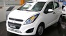 Chevrolet Spark Duo 2017 - Bán xe Chevrolet Spark Duo năm 2017, màu trắng, giá chỉ 279 triệu