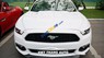 Ford Mustang Ecoboost - 2.3L 2016 - Bán xe Ford Mustang Ecoboost - 2.3L năm sản xuất 2016, màu trắng