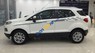 Ford EcoSport 1.5 AT Titanium  2017 - Bán Ford EcoSport 1.5 AT Titanium sản xuất năm 2017, màu trắng, giá tốt