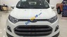 Ford EcoSport 1.5 AT Titanium  2017 - Bán Ford EcoSport 1.5 AT Titanium sản xuất năm 2017, màu trắng, giá tốt