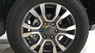 Ford Ranger Wiltrak 3.2 AT 4x4 2017 - Bán Ford Ranger Wiltrak 3.2 AT 4x4 năm 2017, màu trắng, nhập khẩu nguyên chiếc