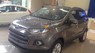 Ford EcoSport Titanium 2018 - Bán xe Ecosport Titanium 2018 màu nâu, giá tốt  