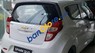 Chevrolet Spark  Duo 2017 - Bán Chevrolet Spark Duo sản xuất 2017, màu trắng, giá 299tr