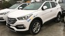 Hyundai Santa Fe 2.4 2017 - Cần bán Hyundai Santa Fe 2.4 sản xuất 2017, màu trắng