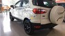 Ford EcoSport Titanium 1.5L AT 2017 - Bán Ford EcoSport Titanium 1.5L AT sản xuất năm 2017, màu trắng, giá 580tr