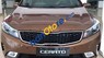 Kia Cerato 2017 - Bán xe Kia Cerato sản xuất năm 2017, màu nâu