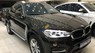 BMW X6 xDrive30d  2015 - Bán BMW X6 xDrive30d năm 2015, màu nâu, nhập khẩu nguyên chiếc