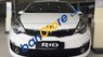 Kia Rio 2017 - Bán Kia Rio năm 2017, màu trắng, xe nhập, giá tốt