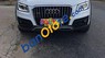 Audi Q5 2015 - Xe Audi Q5 năm 2015, màu trắng, nhập khẩu nguyên chiếc 