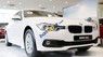 BMW 3 Series 320i LCI 2017 - Cần bán xe BMW 3 Series 320i LCI sản xuất 2017, màu trắng, nhập khẩu 