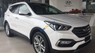 Hyundai Santa Fe 2017 - Bán Hyundai Santa Fe sản xuất 2017, màu trắng