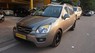 Kia Carens 2.0 AT 2009 - Cần bán xe Kia Carens 2.0 AT sản xuất năm 2009, màu xám, giá chỉ 335 triệu