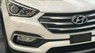 Hyundai Santa Fe 2017 - Mua Hyundai Santa Fe với giá ưu đãi tốt nhất trong tháng 11
