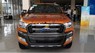 Ford Ranger Wildtrak 3.2L 2017 - Bán Ford Ranger Wildtrak 3.2L năm sản xuất 2017, nhập khẩu, giá chỉ 925 triệu