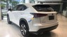 Lexus NX 300 2017 - Bán xe Lexus NX đời 2017, màu trắng, nhập khẩu, giá tốt