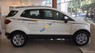 Ford EcoSport Titanium 1.5L AT 2017 - Cần bán xe Ford EcoSport Titanium 1.5L AT năm 2017, màu trắng