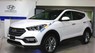 Hyundai Santa Fe 2.4 2017 - Bán ô tô Hyundai Santa Fe 2.4 sản xuất 2017, màu trắng, giá tốt