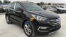 Hyundai Santa Fe 2017 - Bán xe Hyundai Santa Fe đời 2017, màu đen, số tự động 6 cấp