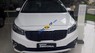 Kia Sedona 2017 - Bán ô tô Kia Sedona sản xuất 2017, màu trắng