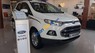 Ford EcoSport   Titanium  2017 - Bán Ford EcoSport Titanium năm sản xuất 2017, màu trắng, giá tốt