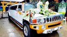 Hummer H3 2009 - Cần bán chiếc siêu xe Limosine 3 khoang Hummer H3 tự động nhập Mỹ màu trắng