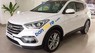 Hyundai Santa Fe 2017 - Bán ô tô Hyundai Santa Fe sản xuất năm 2017, màu trắng 