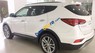 Hyundai Santa Fe 2017 - Bán ô tô Hyundai Santa Fe sản xuất năm 2017, màu trắng 