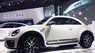 Volkswagen Beetle Dune 2017 - [Volkswagen Saigon] - Bán Volkswagen Beetle Dune xe huyền thoại nước Đức