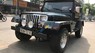 Jeep Wrangler 1995 - Cần bán lại xe Jeep Wrangler sản xuất 1995, màu xanh lam, xe nhập