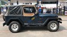 Jeep Wrangler 1995 - Cần bán lại xe Jeep Wrangler sản xuất 1995, màu xanh lam, xe nhập