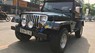 Jeep Wrangler 1995 - Cần bán lại xe Jeep Wrangler sản xuất 1995, màu xanh lam, xe nhập