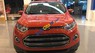 Ford EcoSport    2017 - Bán Ford EcoSport 2017, 558tr