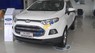 Ford EcoSport  AT   2017 - Bán xe Ford EcoSport AT đời 2017, màu trắng, 555tr