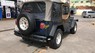 Jeep Wrangler 1995 - Cần bán lại xe Jeep Wrangler sản xuất 1995, màu xanh lam, xe nhập