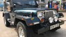 Jeep Wrangler 1995 - Cần bán lại xe Jeep Wrangler sản xuất 1995, màu xanh lam, xe nhập