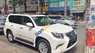 Lexus GX 460 2013 - Bán ô tô Lexus GX 460 sản xuất 2013, màu trắng, xe nhập