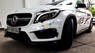 Mercedes-Benz GLA class 2014 - Bán xe Mercedes GLA class đời 2014, màu trắng, nhập khẩu