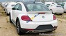 Volkswagen Beetle 1.8 TSI Dune 2017 - Bán Volkswagen Beetle 1.8 TSI Dune năm 2017, màu trắng, xe nhập