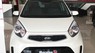 Kia Morning SI 1.25  2017 - Bán ô tô Kia Morning SI 1.25 sản xuất 2017, màu trắng, giá 345tr