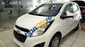 Chevrolet Spark 1.2LS MT 2017 - Trả trước 40 triệu lấy ngay xe Spark 5 chỗ mới 100% - LH: 0933 415 481 nhận báo giá chi tiết