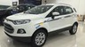 Ford EcoSport Titanium 1.5L AT 2017 - Bán Ford EcoSport Titanium 1.5L AT năm 2017, màu trắng
