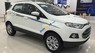 Ford EcoSport Titanium 1.5L AT 2017 - Bán Ford EcoSport Titanium 1.5L AT năm 2017, màu trắng