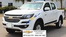 Chevrolet Colorado 2.5 MT 4x4 2017 - Bán Chevrolet Colorado 2.5 MT 4x4 năm sản xuất 2017, màu trắng, giá tốt