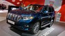 Toyota Land Cruiser Prado VX 2017 - Cần bán Toyota Land Cruiser Prado VX năm 2018, màu xanh, nhập khẩu nguyên chiếc