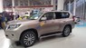 Toyota Land Cruiser Prado VX 2017 - Bán ô tô Toyota Land Cruiser Prado VX đời 2018, màu ghi hồng, xe nhập