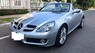 Mercedes-Benz SLK 200 2010 - Mercedes Benz SLK200 2010 màu bạc, nhập khẩu Đức